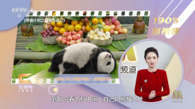 99国内精品久久久久久久